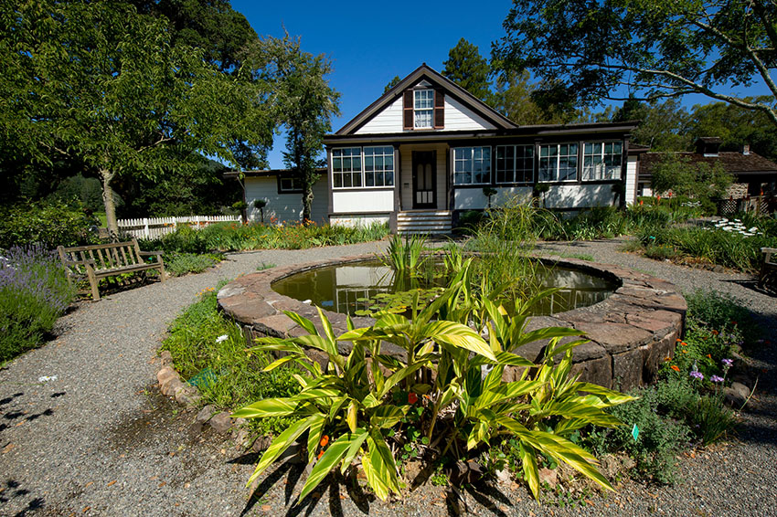 Jack London SHP